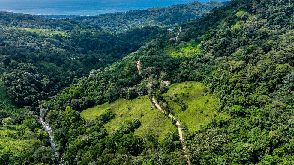 0 bed Land For Sale in Uvita, Puntarenas - thumb 21