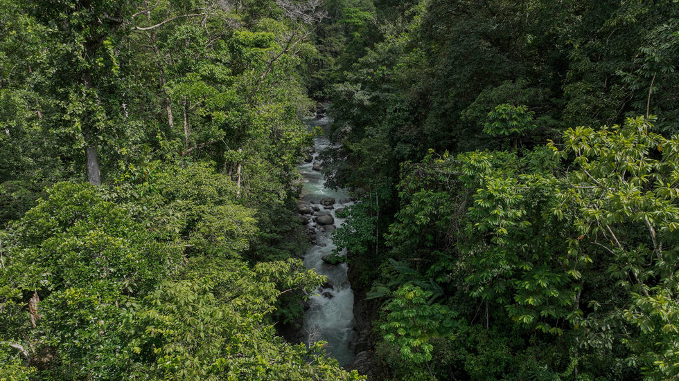 0 bed Land For Sale in Uvita, Puntarenas - thumb 22