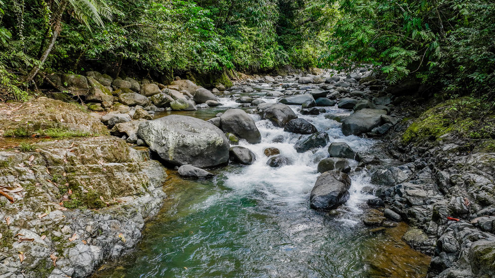 0 bed Land For Sale in Uvita, Puntarenas - thumb 9