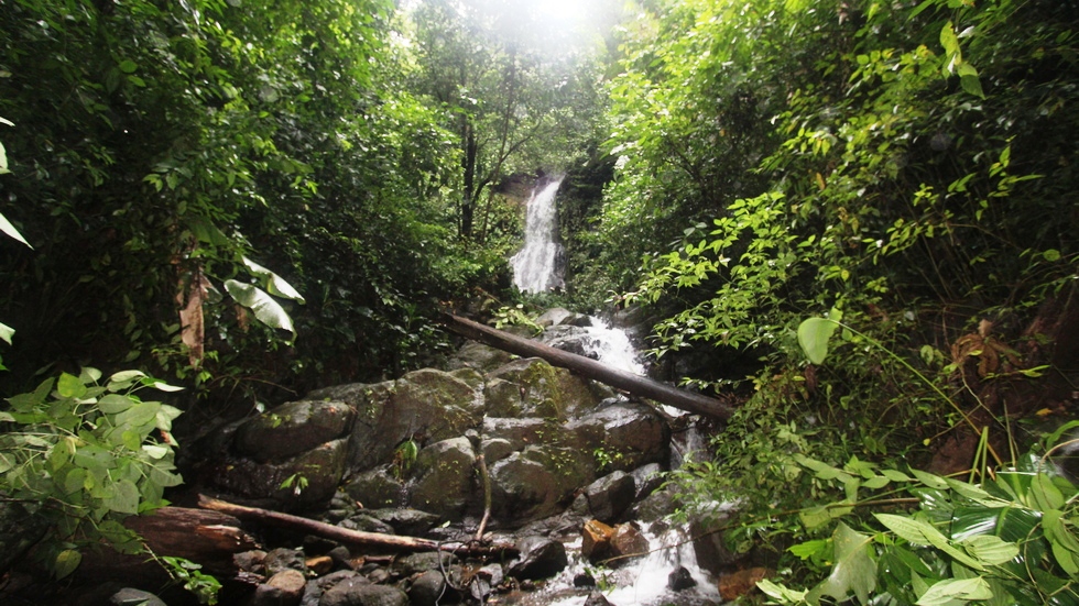 0 bed Land For Sale in Uvita, Puntarenas - thumb 17