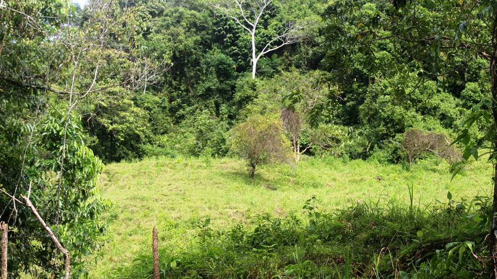 0 bed Land For Sale in Uvita, Puntarenas - thumb 27