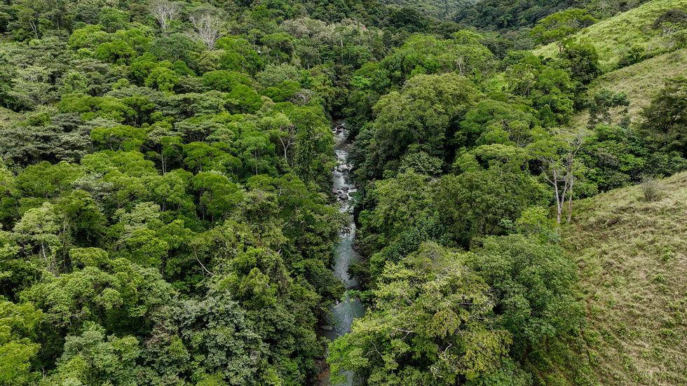 0 bed Land For Sale in Uvita, Puntarenas - thumb 20