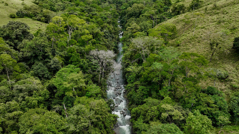 0 bed Land For Sale in Uvita, Puntarenas - thumb 19