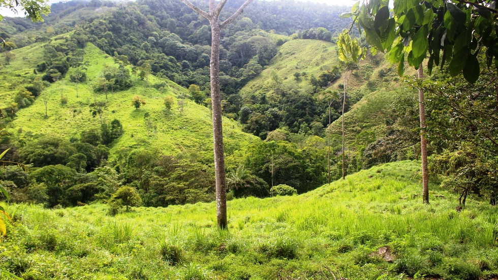 0 bed Land For Sale in Uvita, Puntarenas - thumb 28