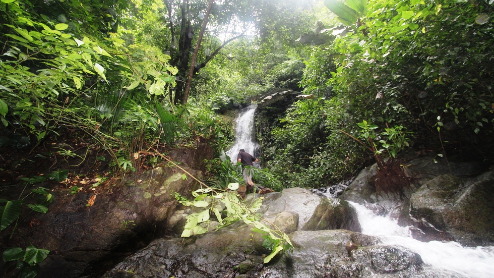 0 bed Land For Sale in Uvita, Puntarenas - thumb 16