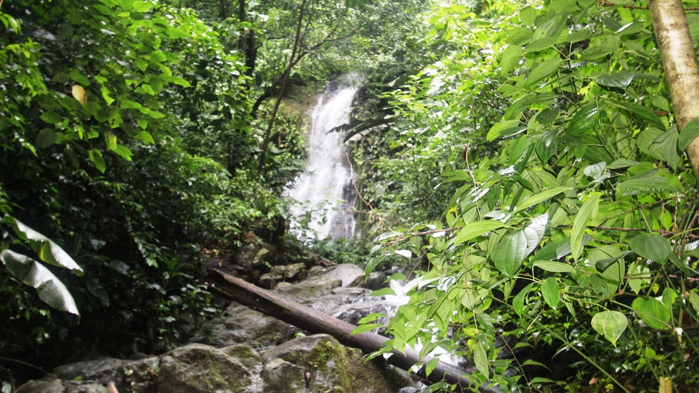 0 bed Land For Sale in Uvita, Puntarenas - thumb 8