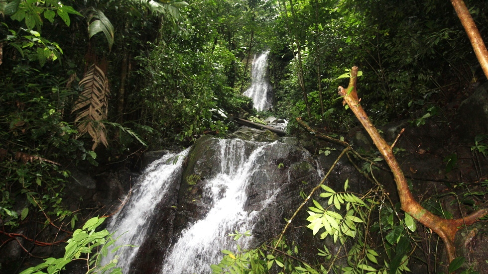 0 bed Land For Sale in Uvita, Puntarenas - thumb 12