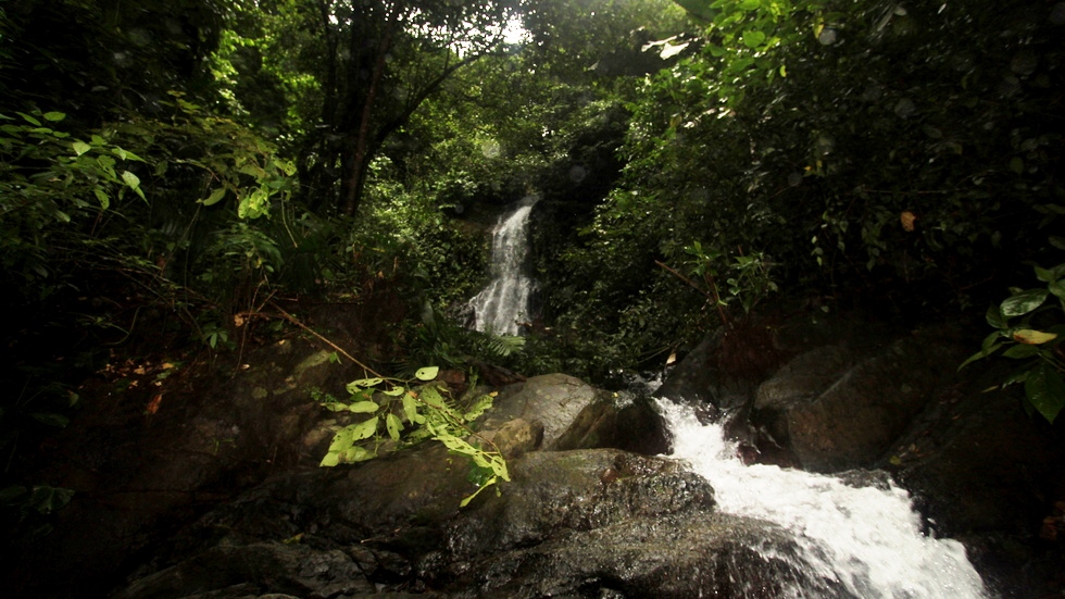 0 bed Land For Sale in Uvita, Puntarenas - thumb 15