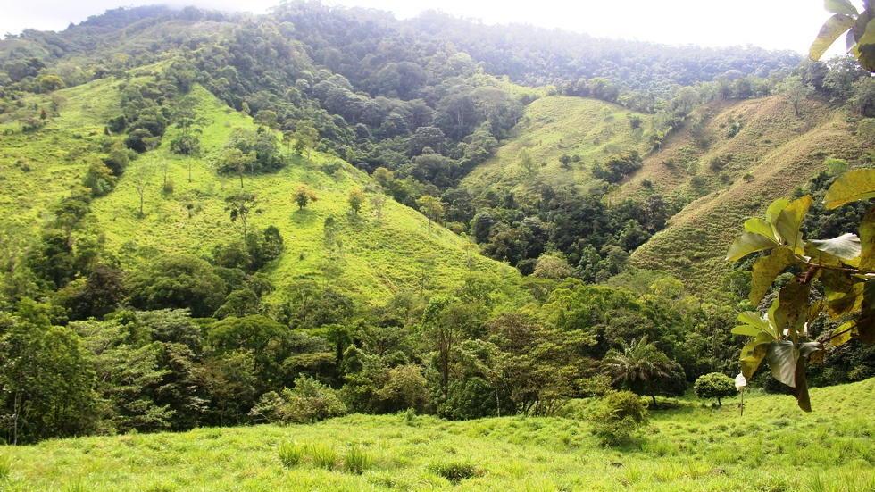 0 bed Land For Sale in Uvita, Puntarenas - thumb 29