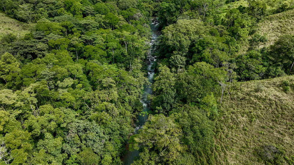 0 bed Land For Sale in Uvita, Puntarenas - thumb 24