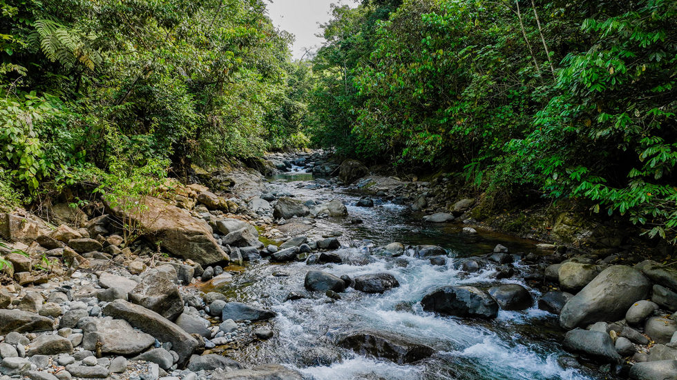 0 bed Land For Sale in Uvita, Puntarenas - thumb 2