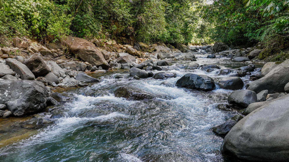 0 bed Land For Sale in Uvita, Puntarenas - thumb 13