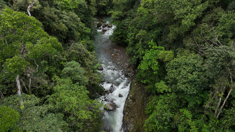 0 bed Land For Sale in Uvita, Puntarenas - thumb 18