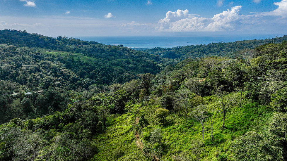 0 bed Land For Sale in Uvita, Puntarenas - thumb 11