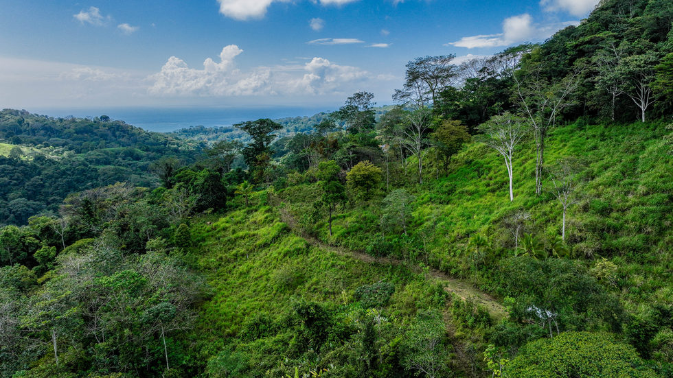 0 bed Land For Sale in Uvita, Puntarenas - thumb 26