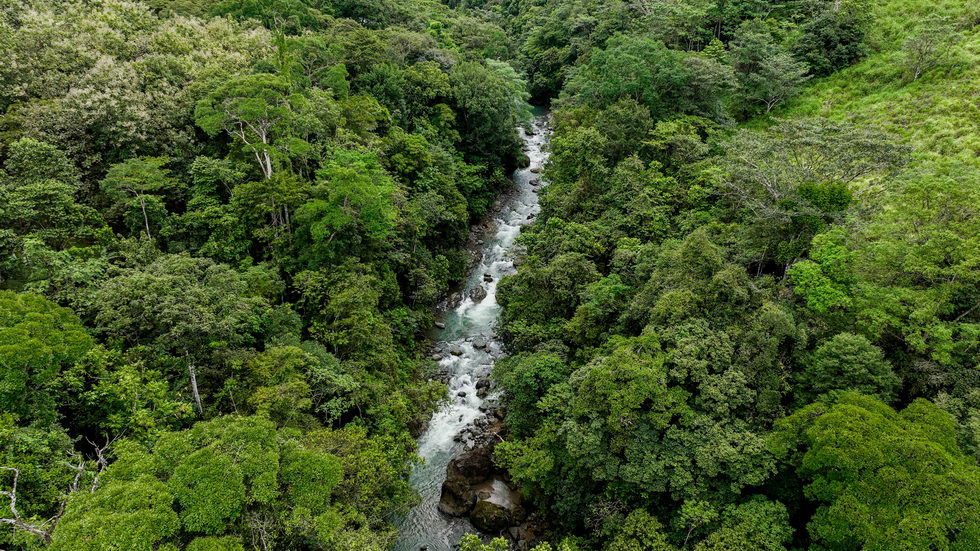 0 bed Land For Sale in Uvita, Puntarenas - thumb 3