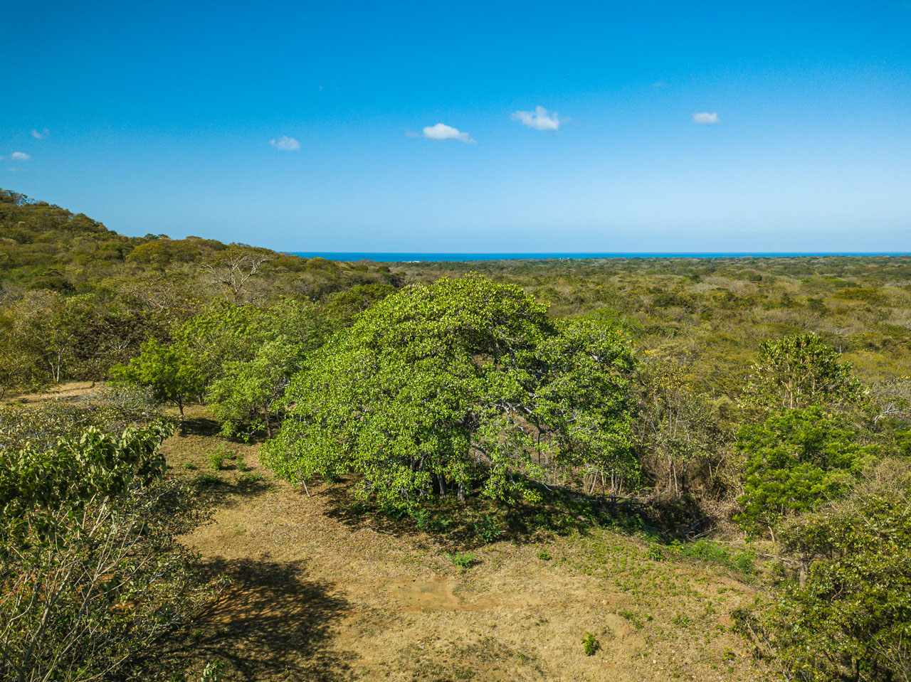 0 bed Land For Sale in Avellanas, Guanacaste - thumb 19