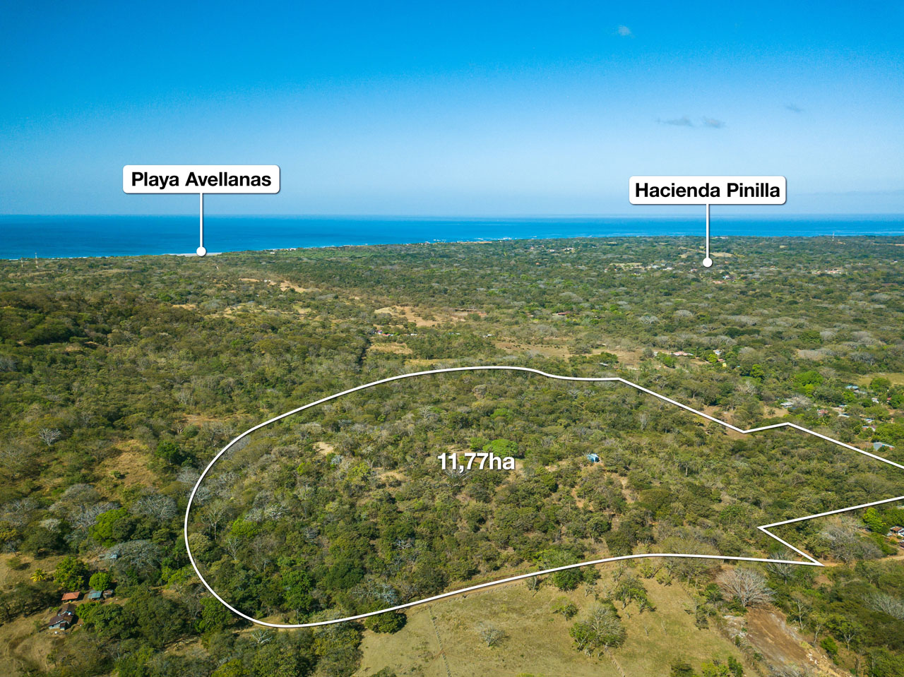 0 bed Land For Sale in Avellanas, Guanacaste - thumb 1