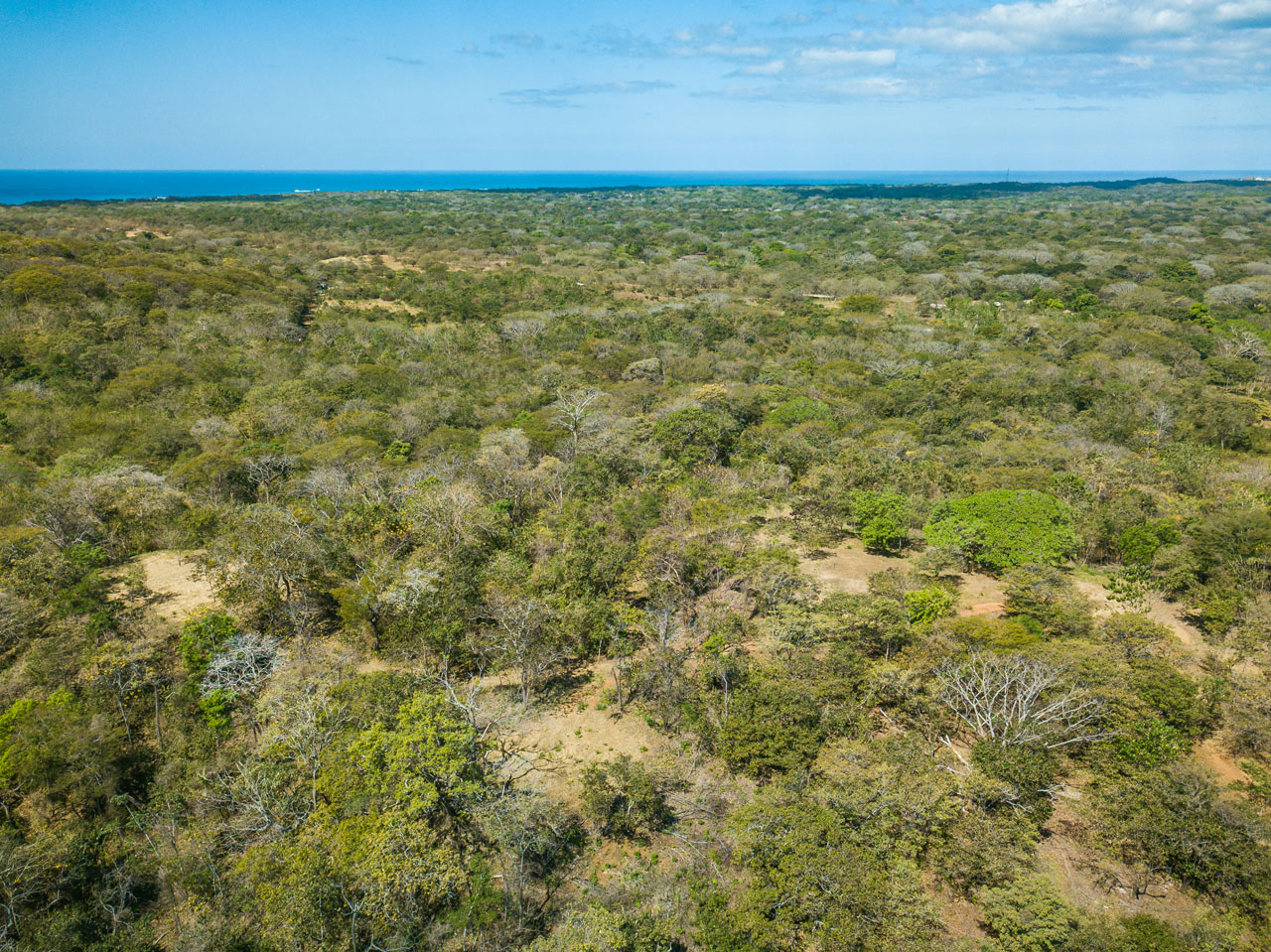 0 bed Land For Sale in Avellanas, Guanacaste - thumb 21