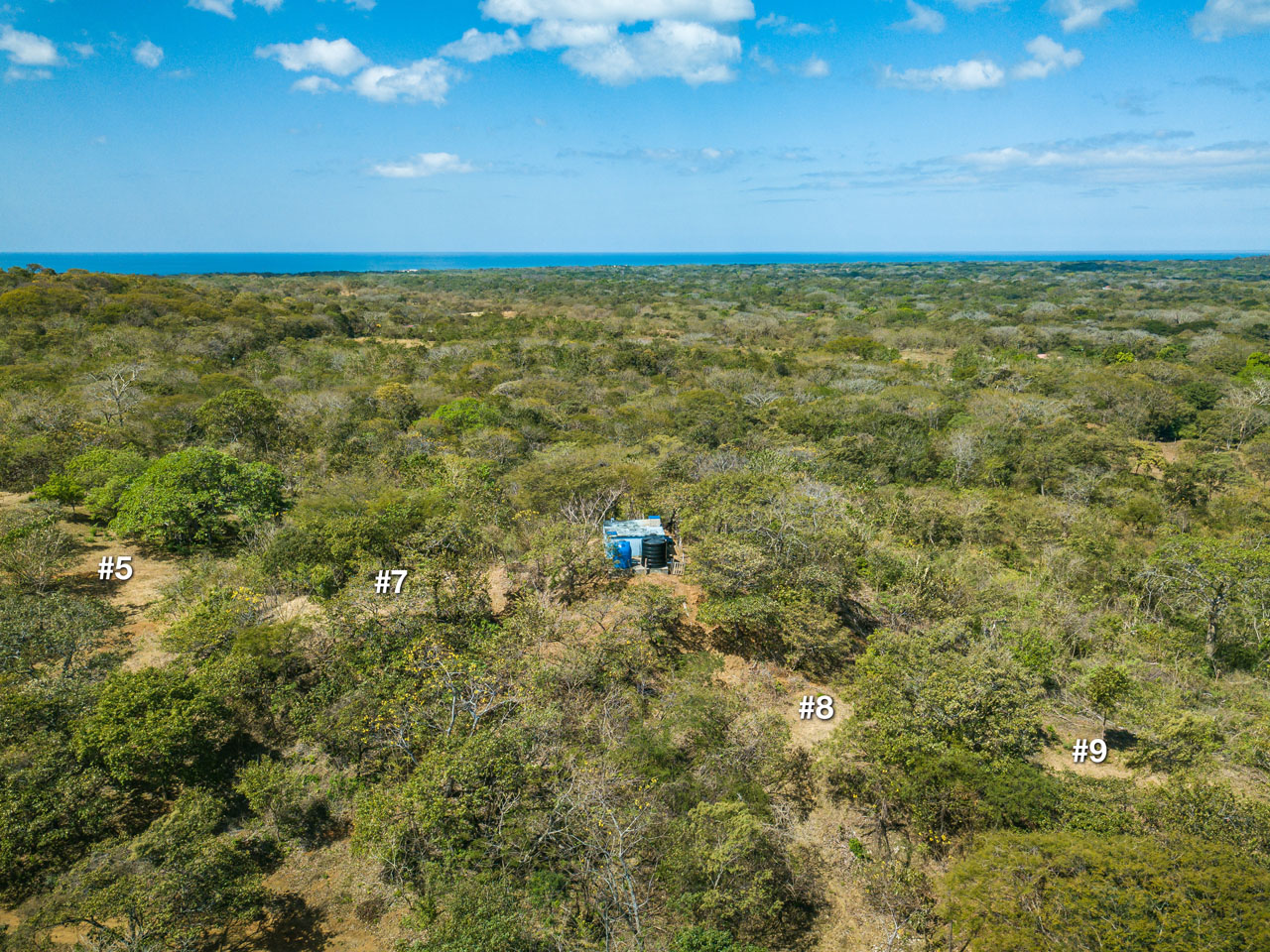 0 bed Hotel / Leisure For Sale in Avellanas, Guanacaste - thumb 10