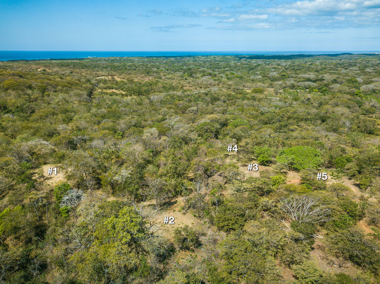 0 bed Hotel / Leisure For Sale in Avellanas, Guanacaste - thumb 7