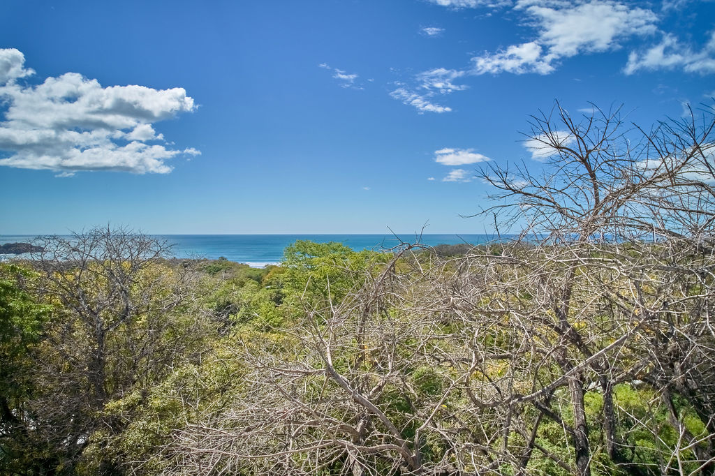 3 bed Single Family Homes For Rent in Nosara, Guanacaste - thumb 2