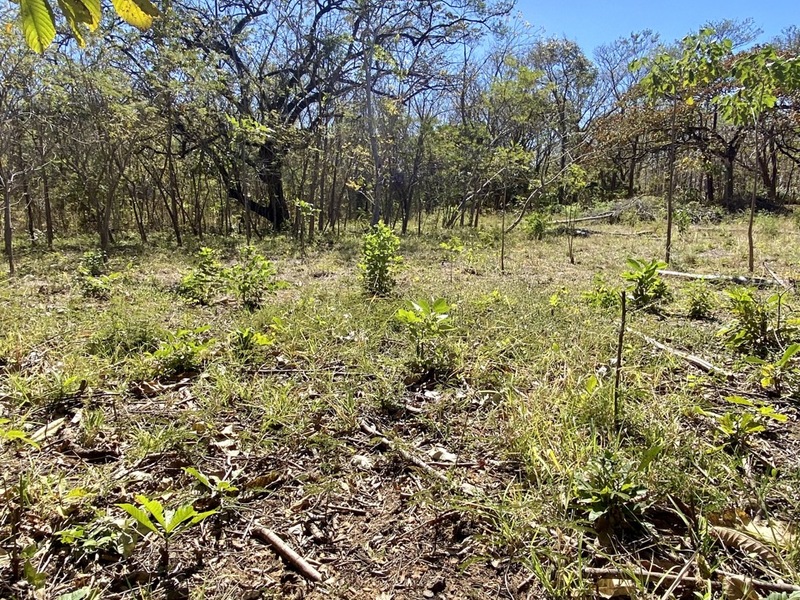 0 bed Land For Sale in Playa Negra, Guanacaste - 1