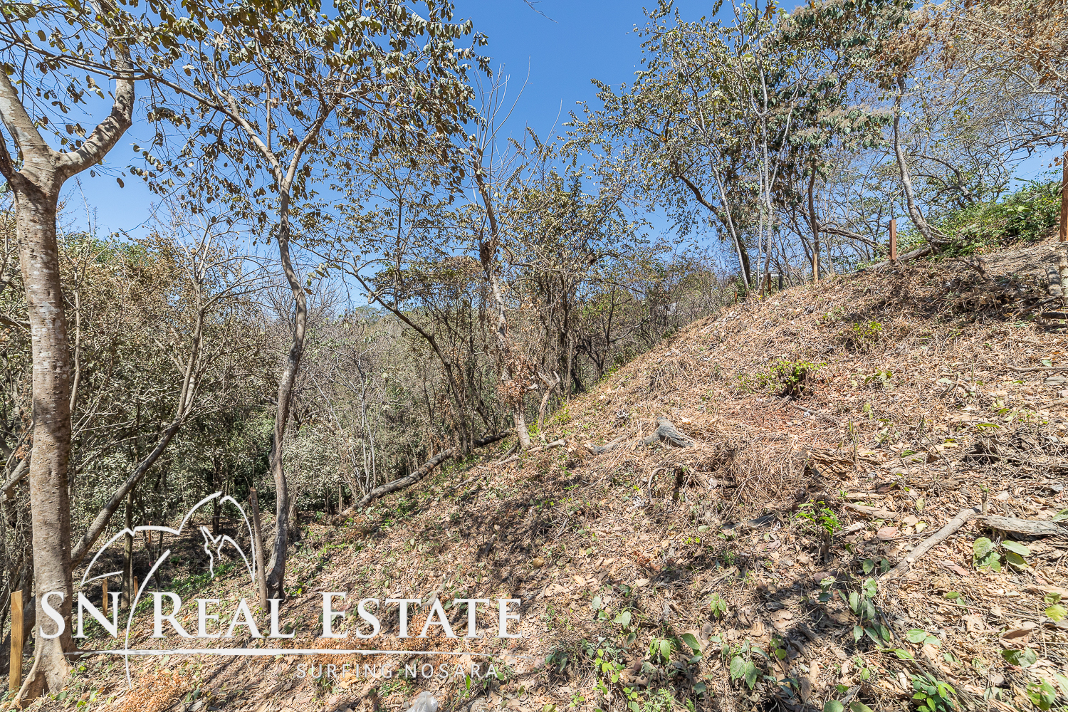 0 bed Land For Sale in Nosara, Guanacaste - thumb 11