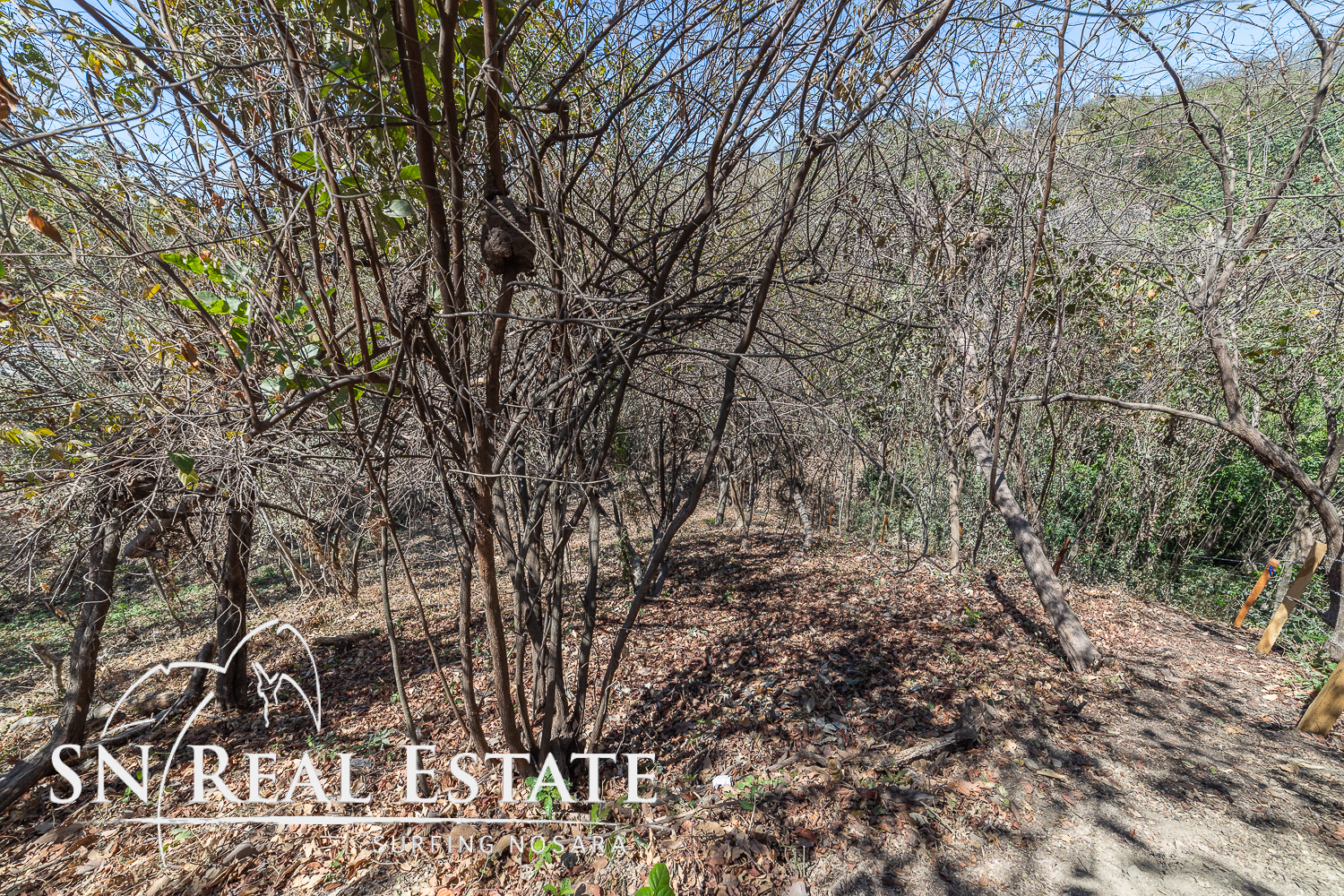 0 bed Land For Sale in Nosara, Guanacaste - thumb 10