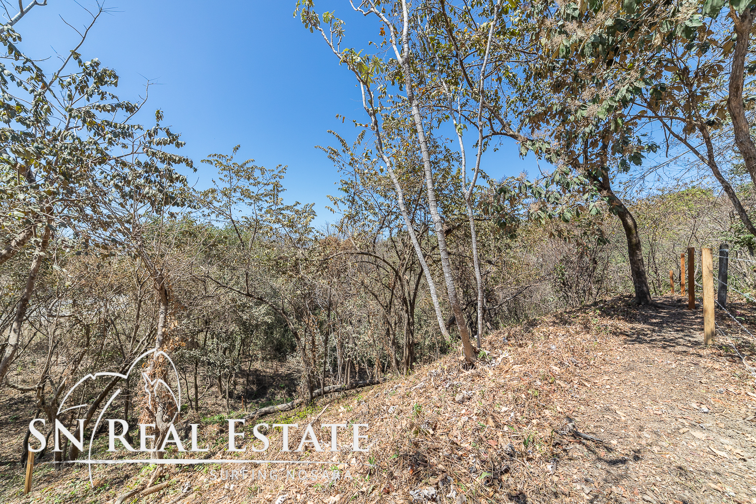 0 bed Land For Sale in Nosara, Guanacaste - thumb 7