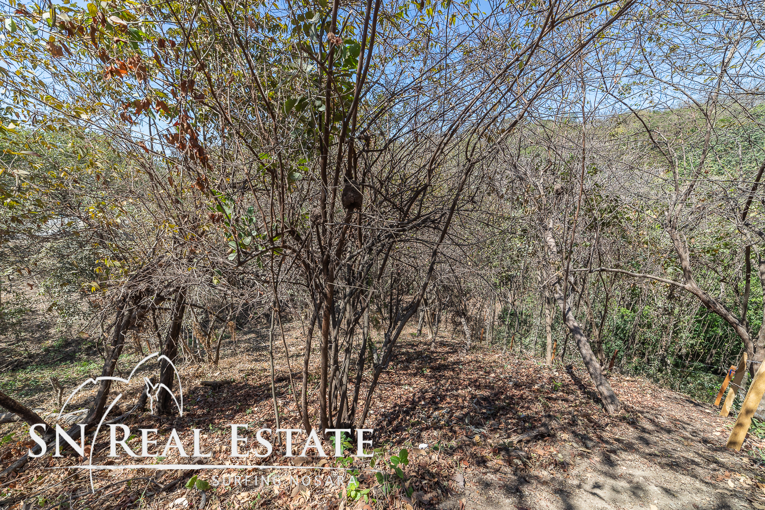 0 bed Land For Sale in Nosara, Guanacaste - thumb 9