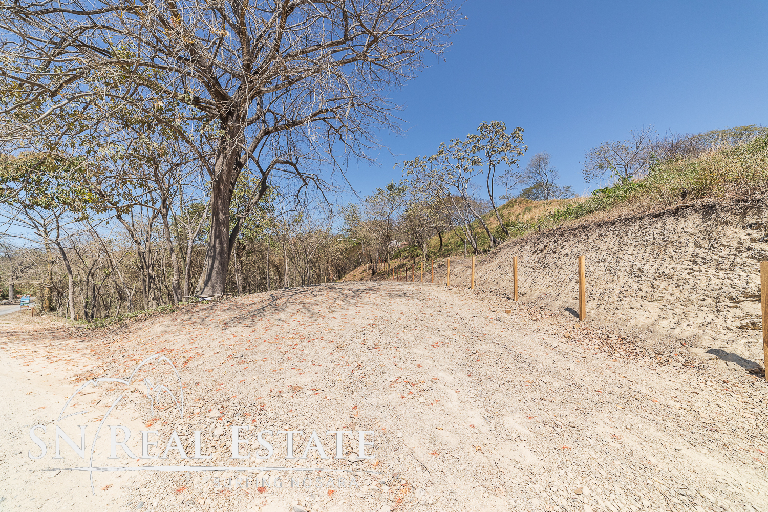 0 bed Land For Sale in Nosara, Guanacaste - thumb 5