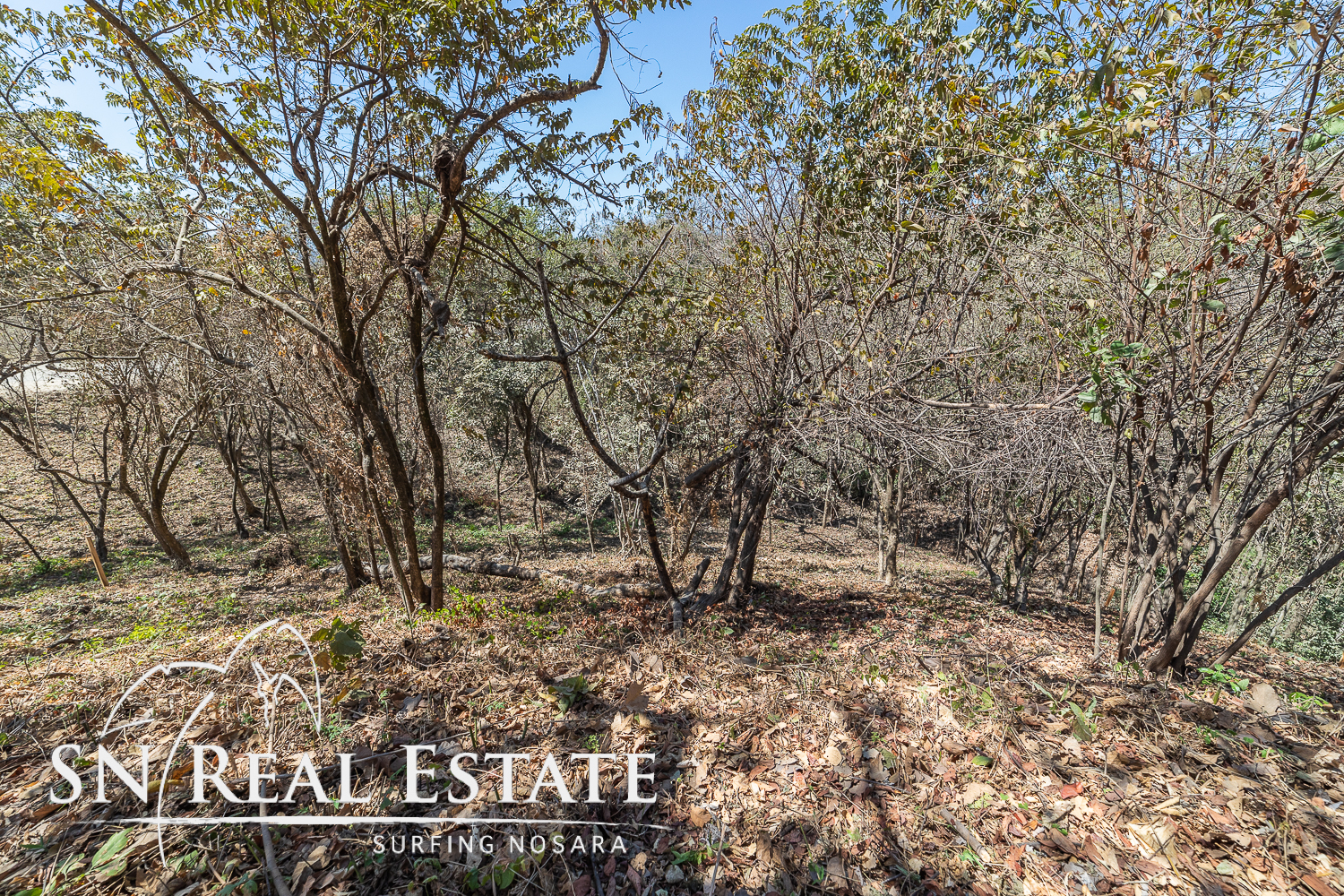 0 bed Land For Sale in Nosara, Guanacaste - thumb 8