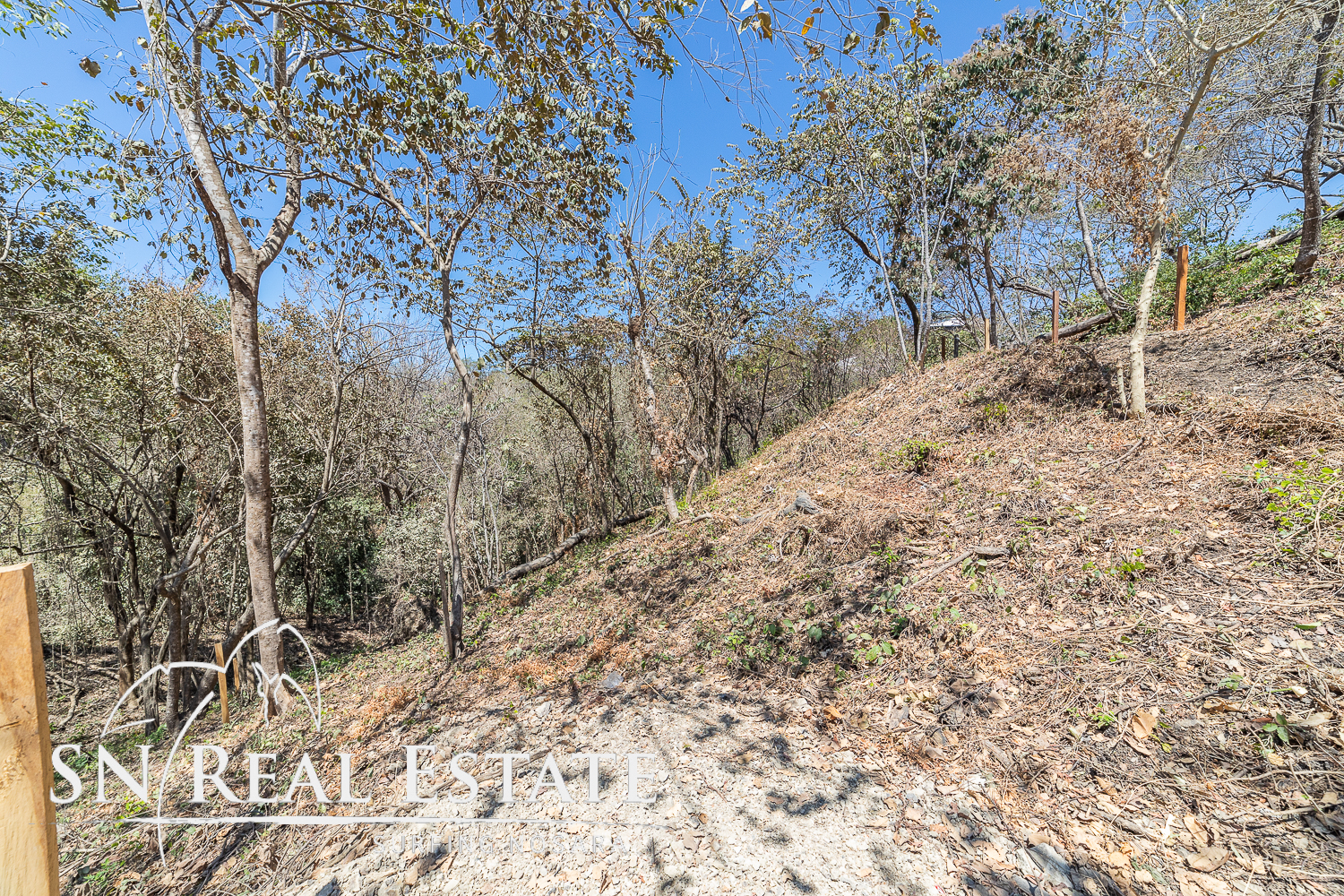 0 bed Land For Sale in Nosara, Guanacaste - thumb 6