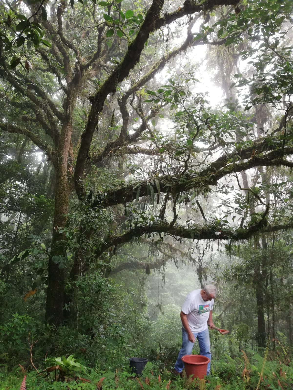 0 bed Land For Sale in Corralillo, Cartago - thumb 3