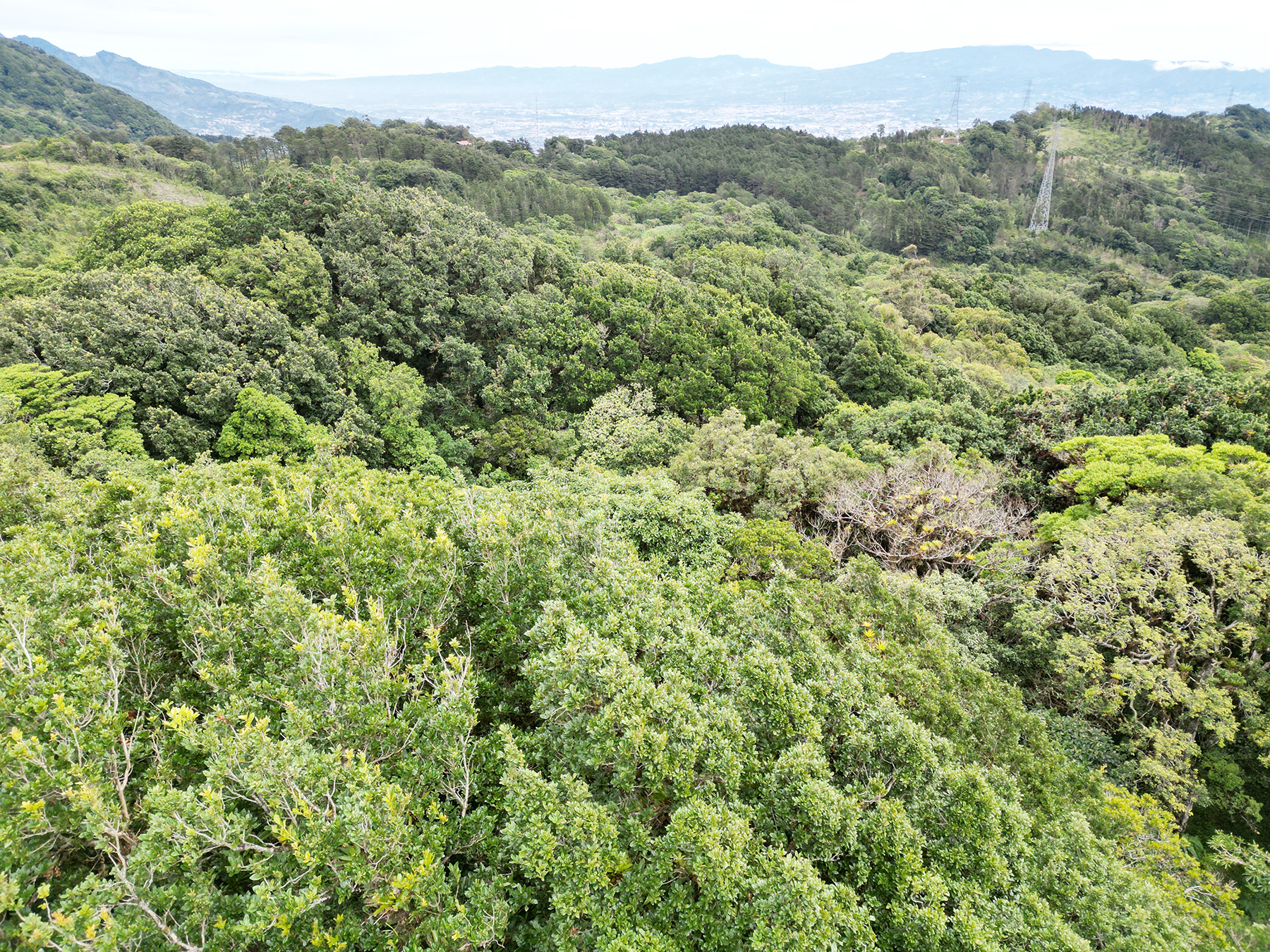 0 bed Land For Sale in Corralillo, Cartago - thumb 8