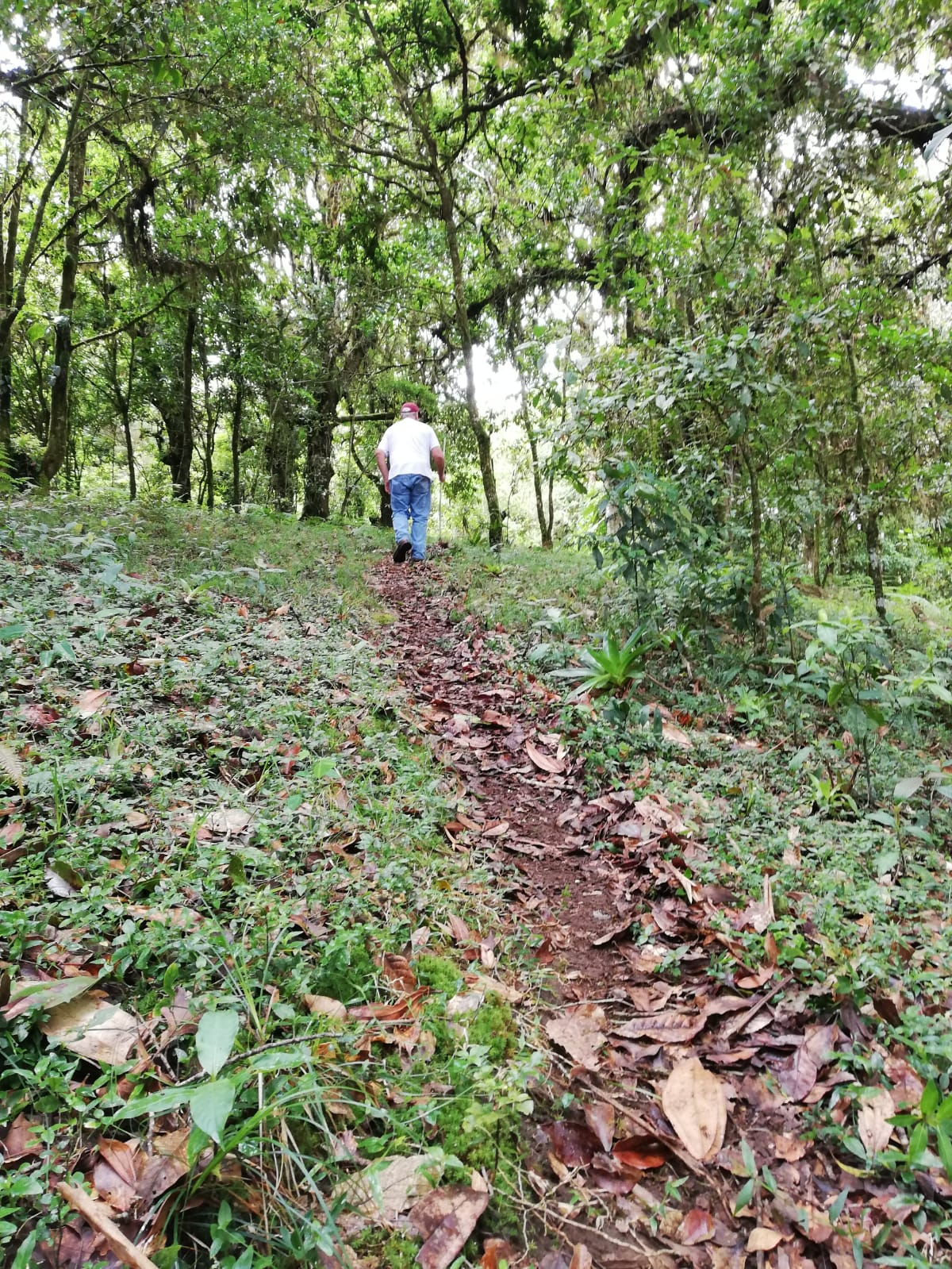 0 bed Land For Sale in Corralillo, Cartago - thumb 5