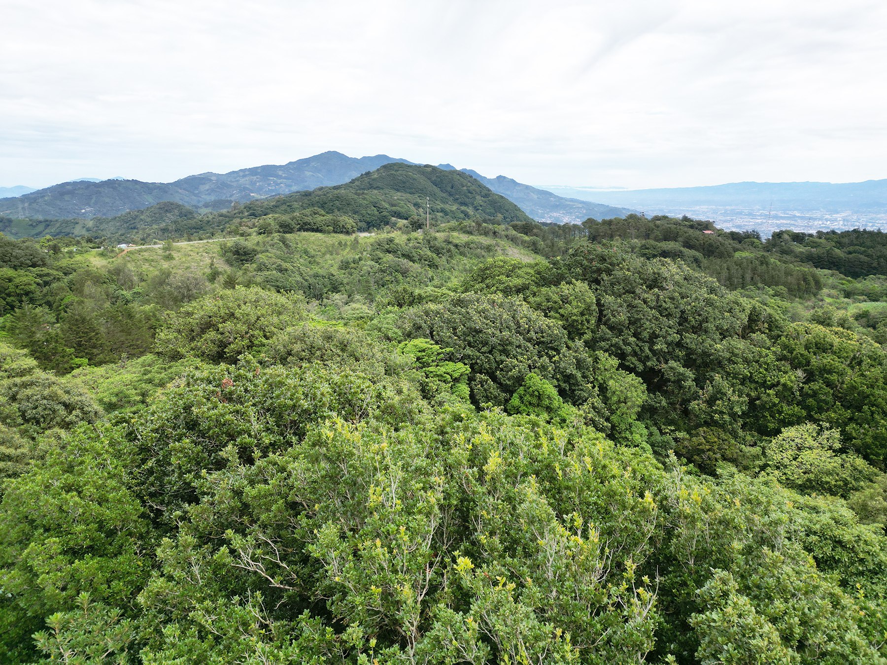 0 bed Land For Sale in Corralillo, Cartago - thumb 9