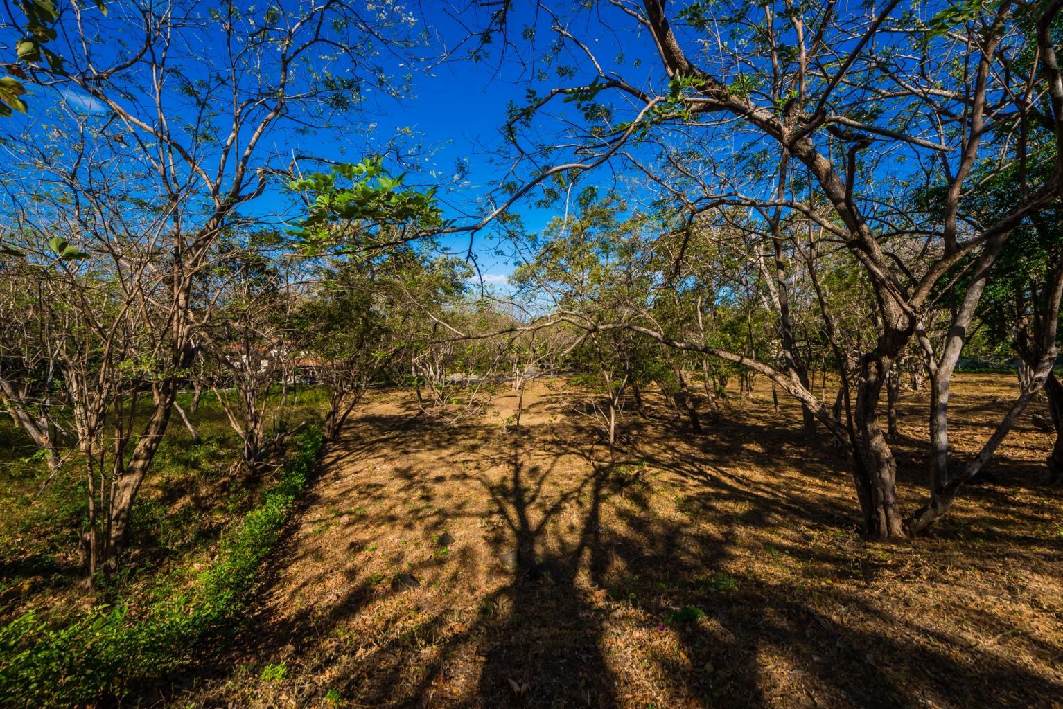 0 bed Land For Sale in Playa Conchal, Guanacaste - thumb 11