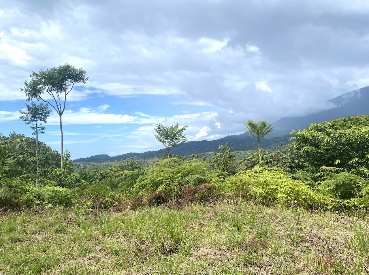 0 bed Land For Sale in Ojochal, Puntarenas - thumb 4