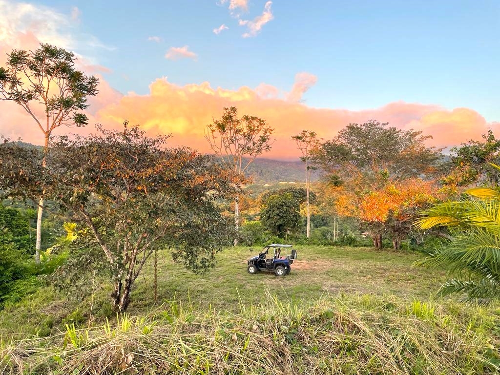 0 bed Land For Sale in Ojochal, Puntarenas - thumb 6