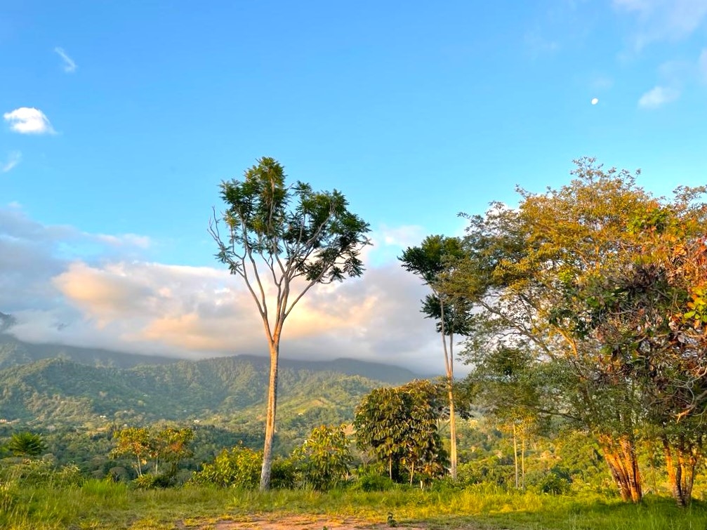 0 bed Land For Sale in Ojochal, Puntarenas - thumb 1
