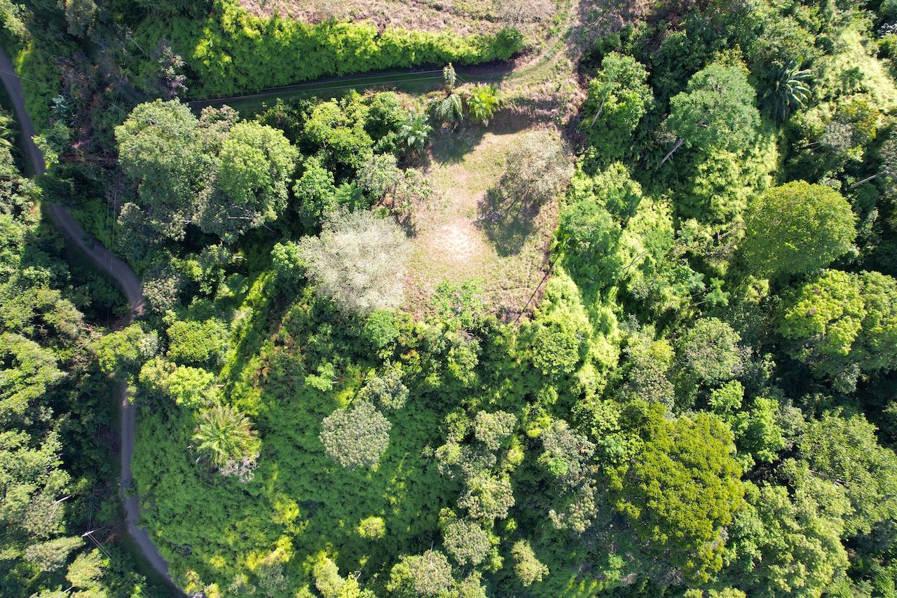 0 bed Land For Sale in Ojochal, Puntarenas - thumb 13