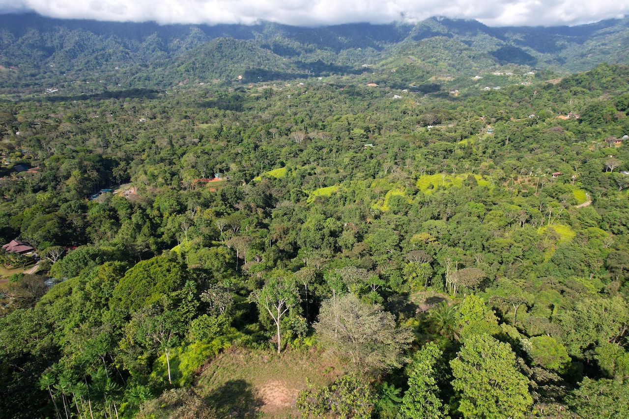0 bed Land For Sale in Ojochal, Puntarenas - thumb 15