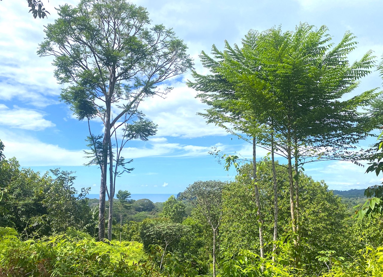 0 bed Land For Sale in Ojochal, Puntarenas - thumb 2