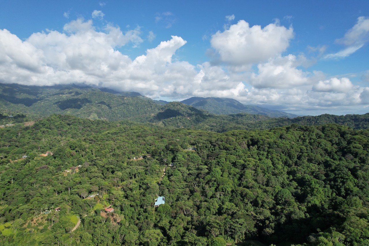 0 bed Land For Sale in Ojochal, Puntarenas - thumb 17