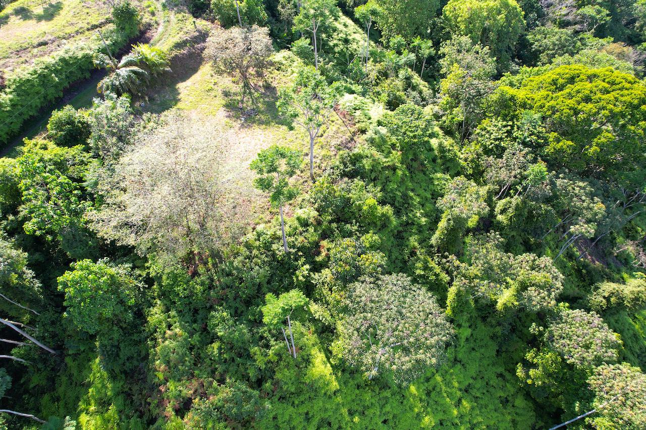 0 bed Land For Sale in Ojochal, Puntarenas - thumb 14