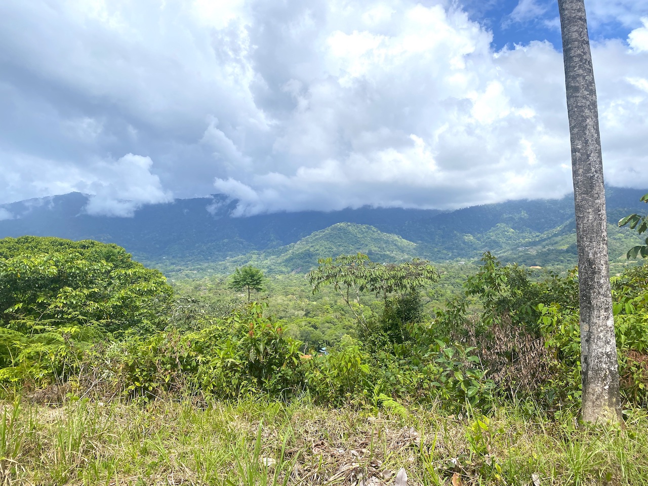 0 bed Land For Sale in Ojochal, Puntarenas - thumb 8