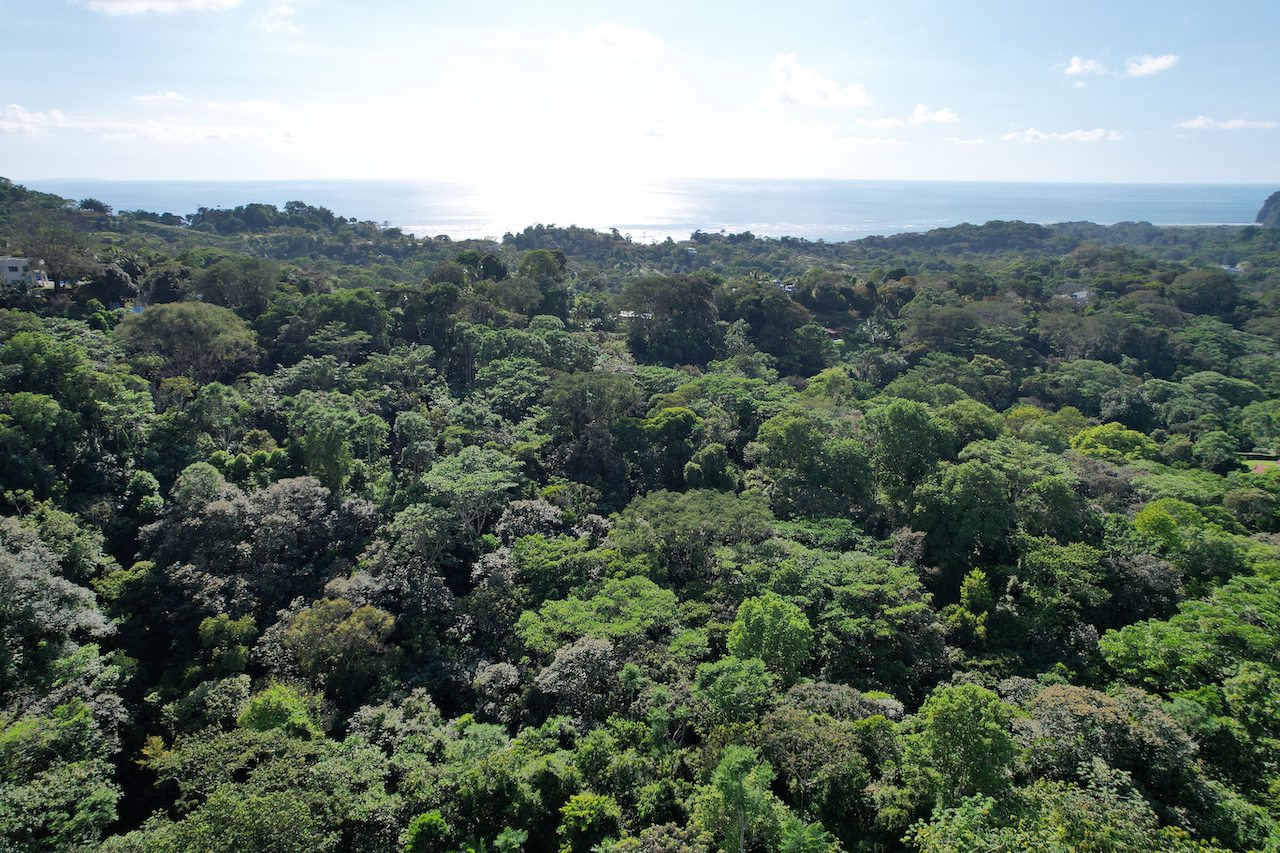 0 bed Land For Sale in Ojochal, Puntarenas - thumb 12