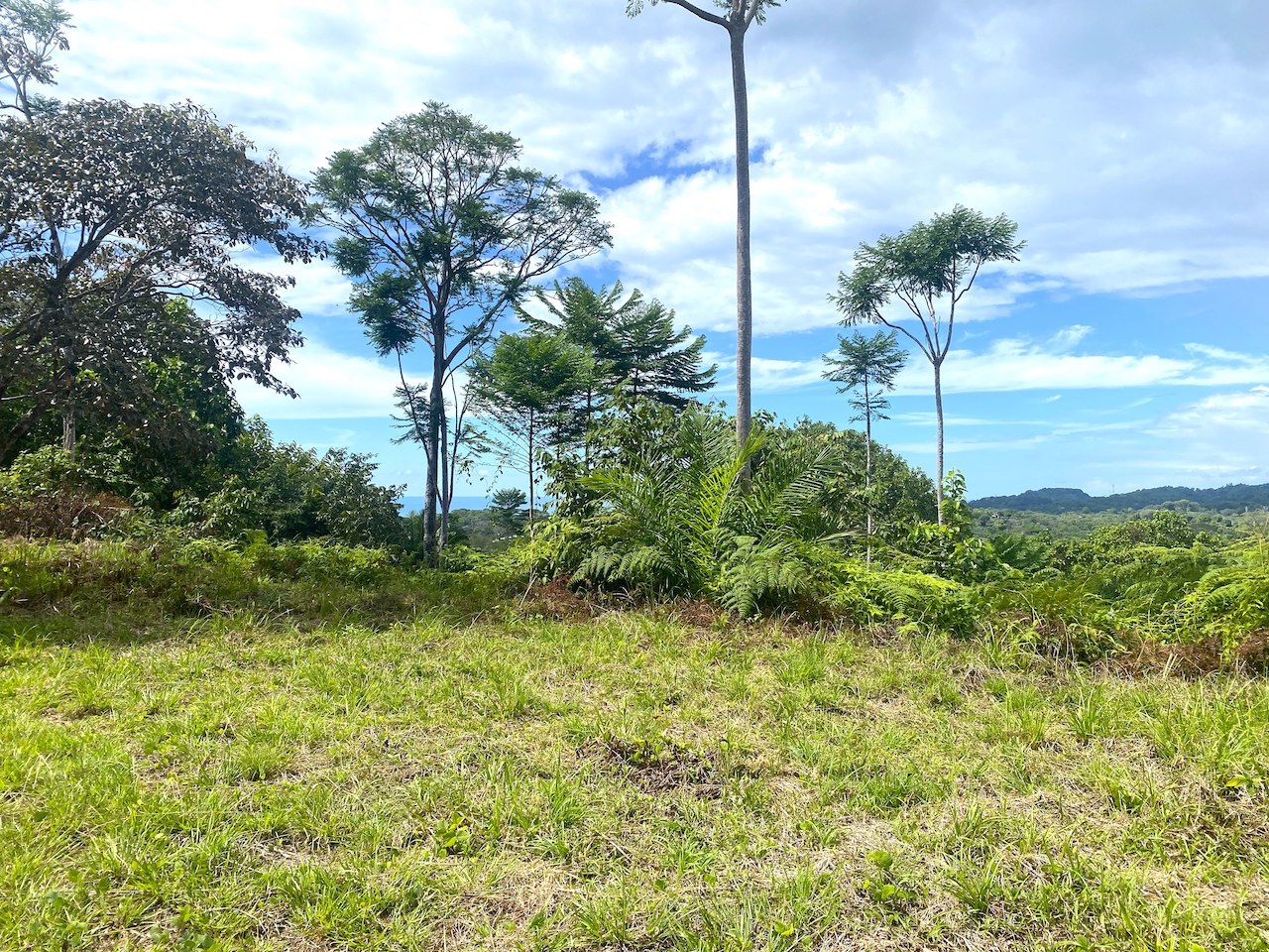 0 bed Land For Sale in Ojochal, Puntarenas - thumb 5